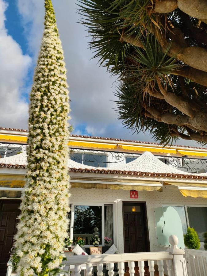 Teide & Mar Vistas Apartment Tacoronte Exterior photo